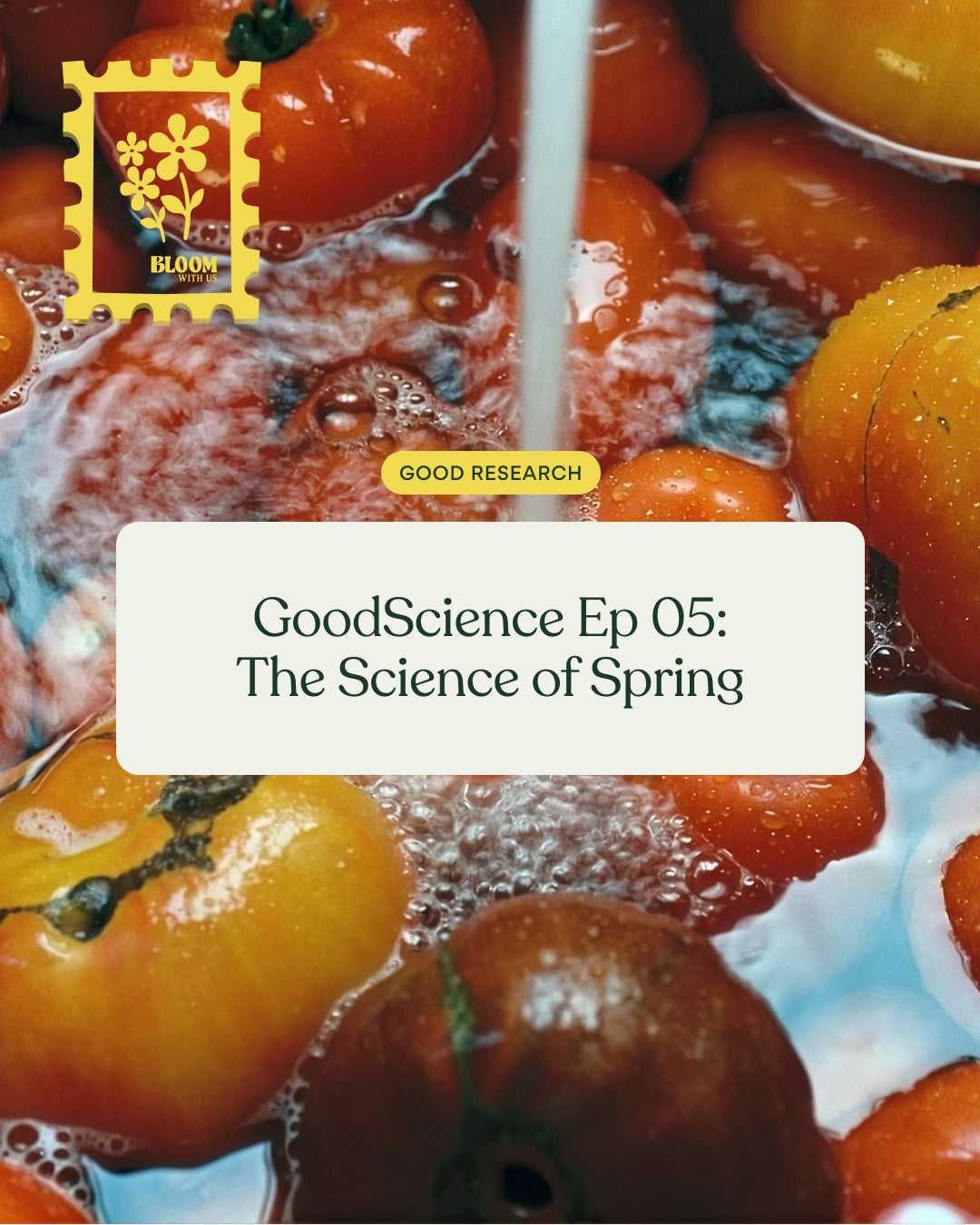 GoodScience Ep 05: The Science of Spring