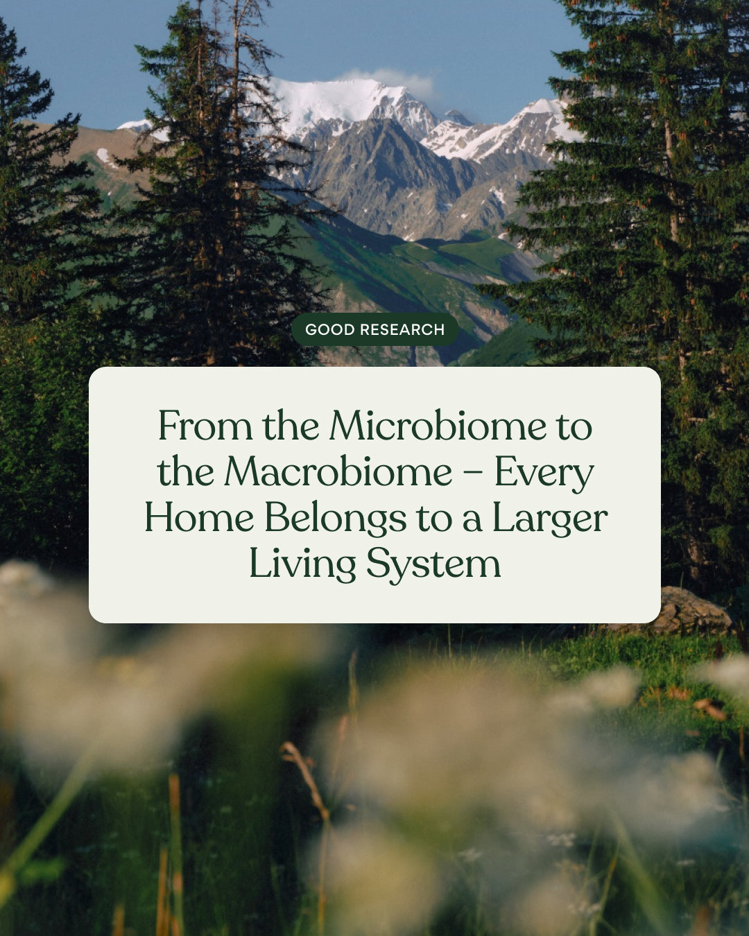 From the Microbiome to the Macrobiome – Every Home Belongs to a Larger Living System