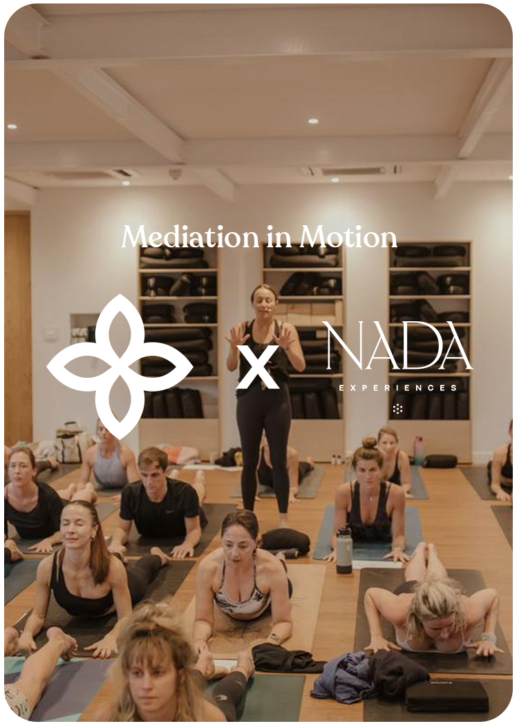 Coming Back to Centre: An Evening with GoodBasics x Meditation in Motion