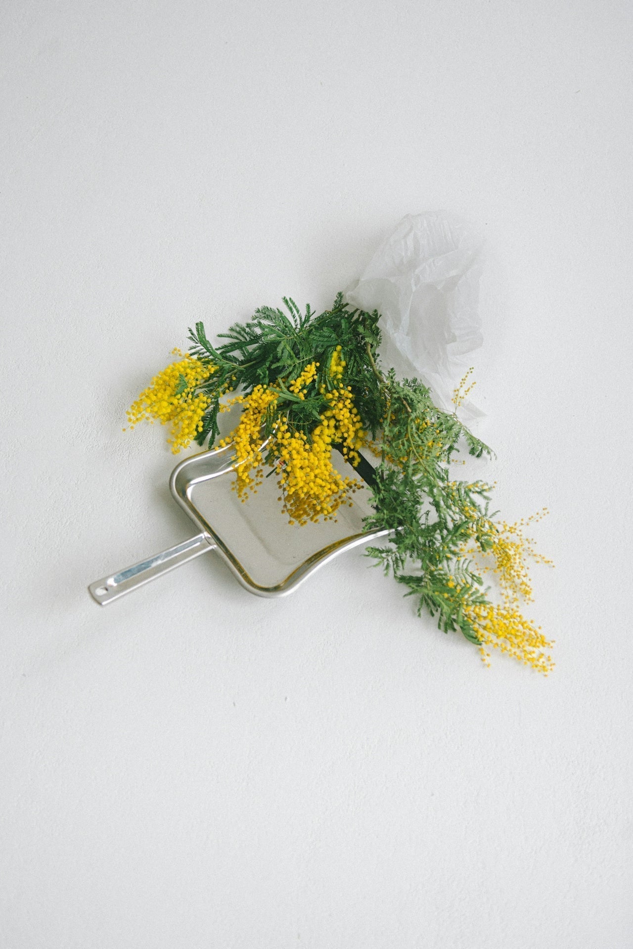 How Probiotic Cleaning is a Climate-Positive Action