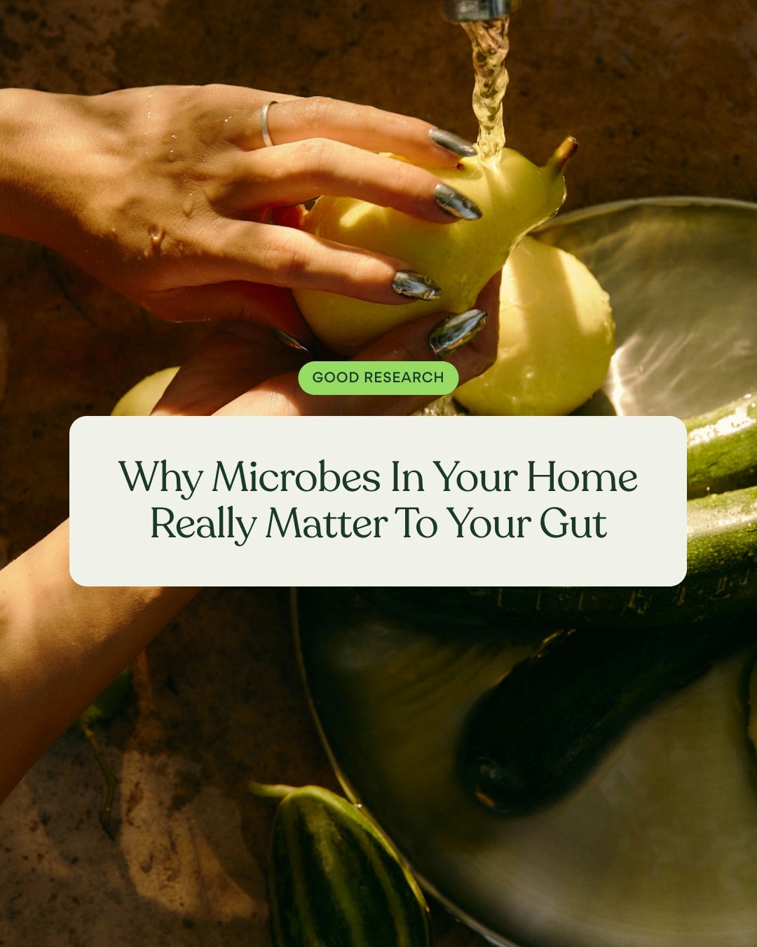 Why Microbes In Your Home Really Matter To Your Gut