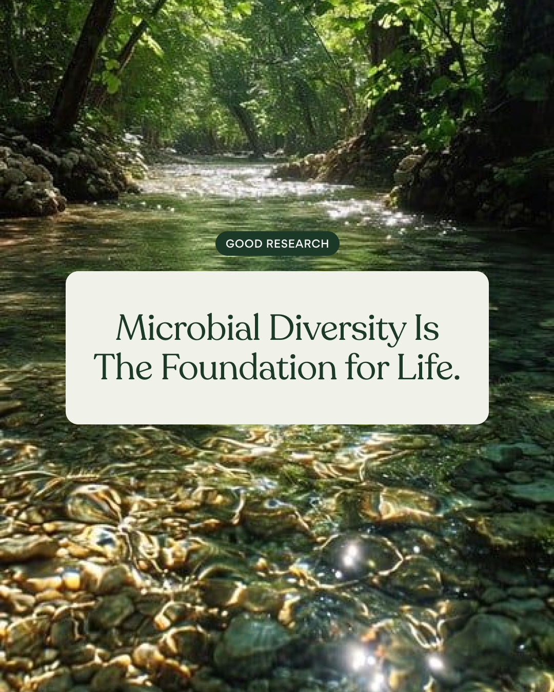 Microbial Diversity Is The Foundation for Life
