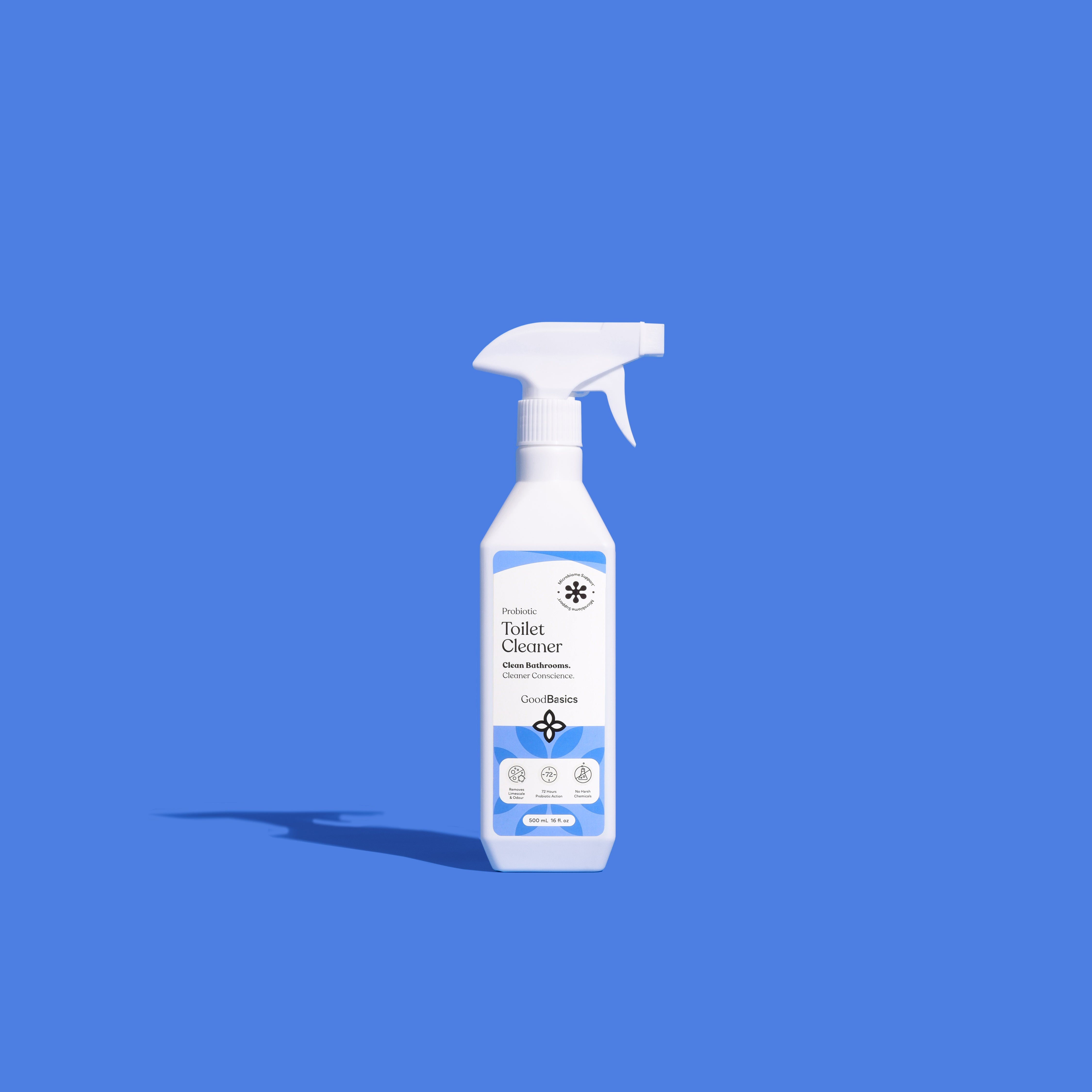 Toilet Cleaner